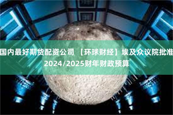 国内最好期货配资公司 【环球财经】埃及众议院批准2024