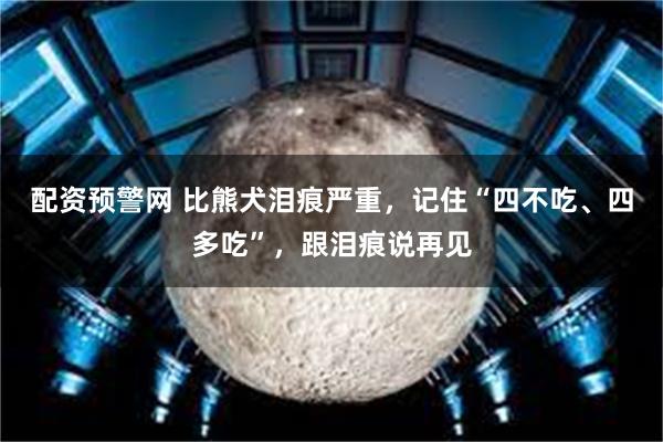 配资预警网 比熊犬泪痕严重，记住“四不吃、四多吃”，跟泪痕说