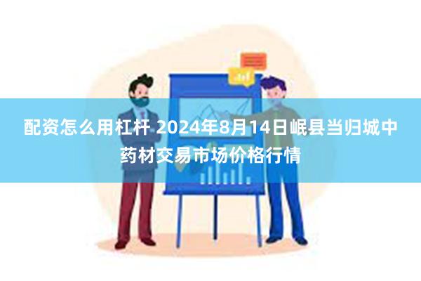 配资怎么用杠杆 2024年8月14日岷县当归城中药材交易