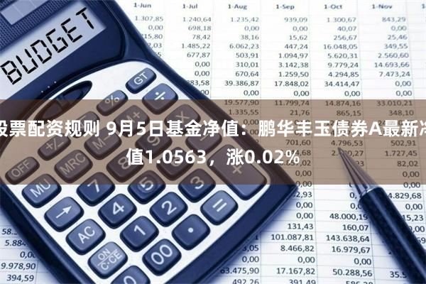 股票配资规则 9月5日基金净值：鹏华丰玉债券A最新净值1.0563，涨0.02%