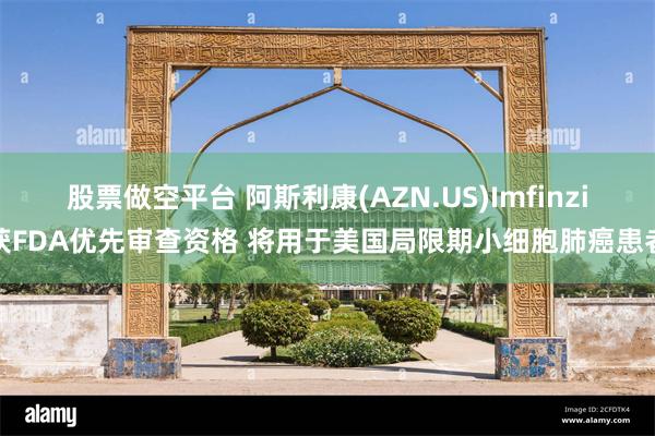 股票做空平台 阿斯利康(AZN.US)Imfinzi获FDA优先审查资格 将用于美国局限期小细胞肺癌患者