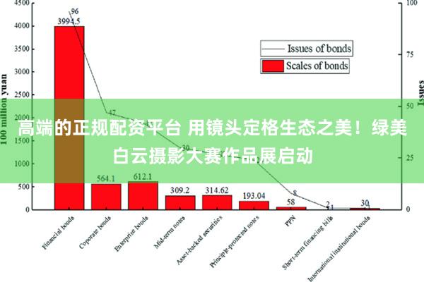 高端的正规配资平台 用镜头定格生态之美！绿美白云摄影大赛