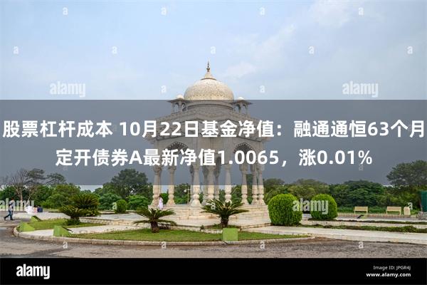 股票杠杆成本 10月22日基金净值：融通通恒63个月定开