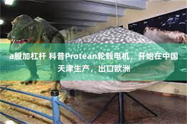 a股加杠杆 科普Protean轮毂电机，开始在中国天津生产，出口欧洲