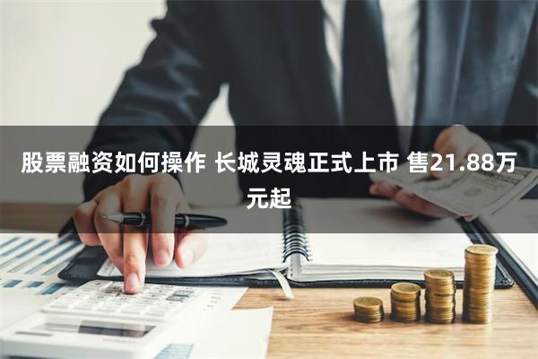 股票融资如何操作 长城灵魂正式上市 售21.88万元起