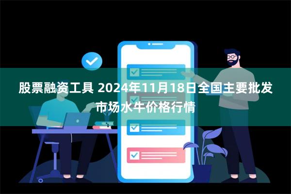 股票融资工具 2024年11月18日全国主要批发市场水牛价格行情