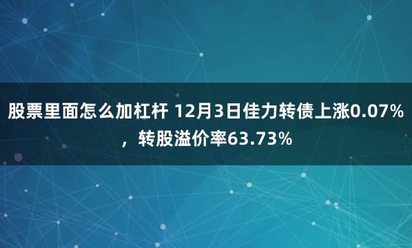 股票里面怎么加杠杆 12月3日佳力转债上涨0.07%，转股溢价率63.73%