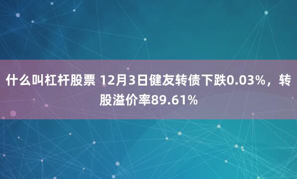 什么叫杠杆股票 12月3日健友转债下跌0.03%，转股溢价率89.61%