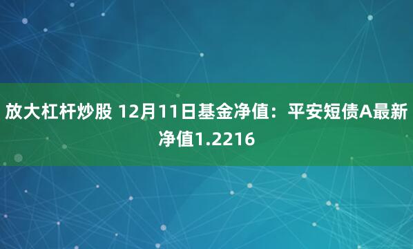 放大杠杆炒股 12月11日基金净值：平安短债A最新净值1.2216