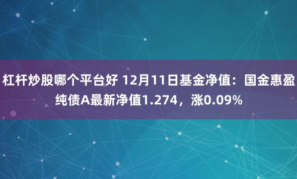 杠杆炒股哪个平台好 12月11日基金净值：国金惠盈纯债A最新净值1.274，涨0.09%