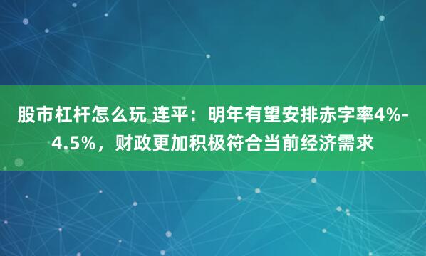 股市杠杆怎么玩 连平：明年有望安排赤字率4%-4.5%，财政更加积极符合当前经济需求