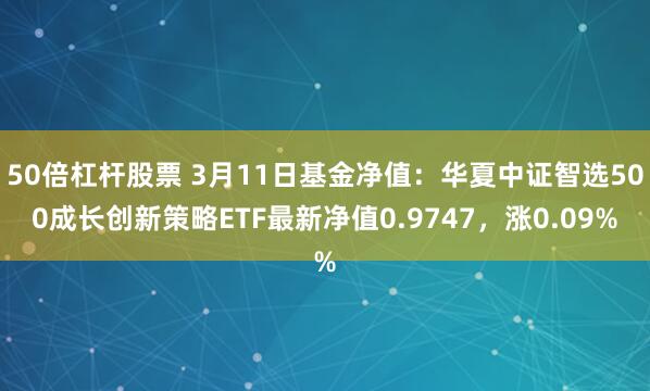 50倍杠杆股票 3月11日基金净值：华夏中证智选500成长创新策略ETF最新净值0.9747，涨0.09%